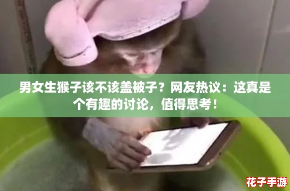 男女生猴子该不该盖被子？网友热议：这真是个有趣的讨论，值得思考！