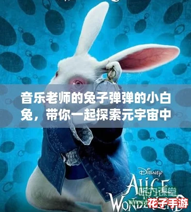音乐老师的兔子弹弹的小白兔，带你一起探索元宇宙中的奇妙乐章