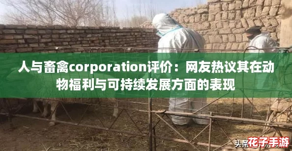 人与畜禽corporation评价：网友热议其在动物福利与可持续发展方面的表现