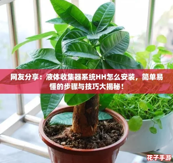 网友分享：液体收集器系统HH怎么安装，简单易懂的步骤与技巧大揭秘！