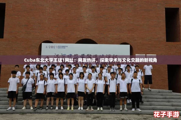 Cuba东北大学王猛1网址：网友热评，探索学术与文化交融的新视角