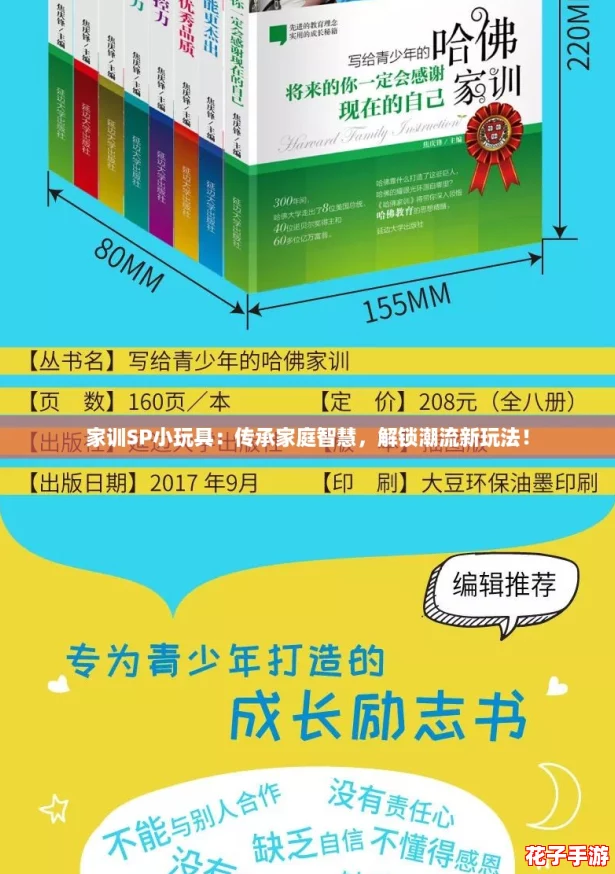 家训SP小玩具：传承家庭智慧，解锁潮流新玩法！