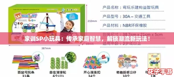 家训SP小玩具:传承家庭智慧,解锁潮流新玩法! 家训SP小玩具:传承家庭智慧,解锁潮流新玩法!