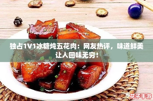 独占1V1冰糖炖五花肉：网友热评，味道鲜美让人回味无穷！