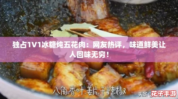 独占1V1冰糖炖五花肉:网友热评,味道鲜美让人回味无穷! 独占1V1冰糖炖五花肉:网友热评,味道鲜美让人回味无穷!