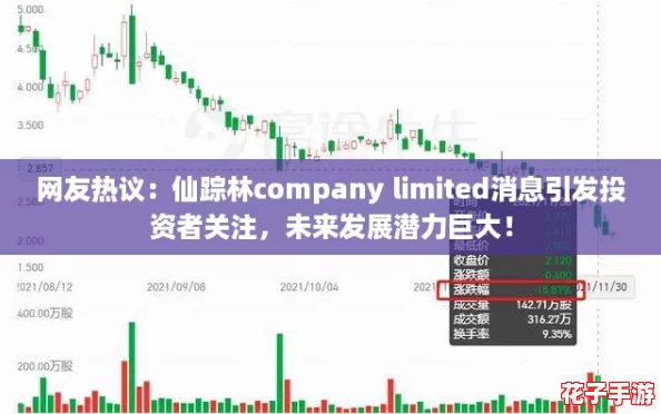 网友热议：仙踪林company limited消息引发投资者关注，未来发展潜力巨大！