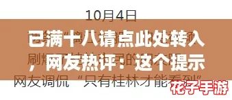 已满十八请点此处转入，网友热评：这个提示真是让人期待不已！
