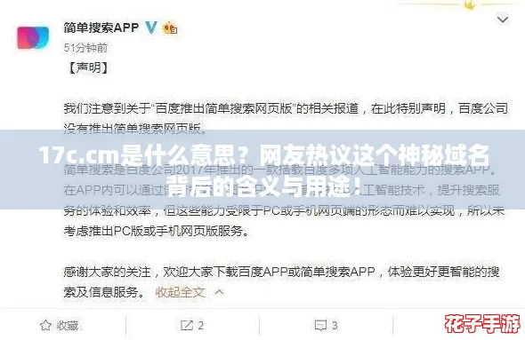 17c.cm是什么意思？网友热议这个神秘域名背后的含义与用途！