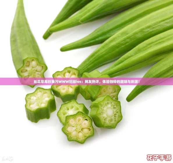 丝瓜草莓秋葵污WWW旧版ios：网友热评，体验独特的趣味与刺激！