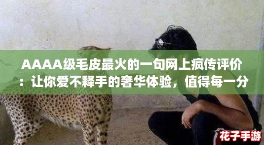 AAAA级毛皮最火的一句网上疯传评价：让你爱不释手的奢华体验，值得每一分钱！