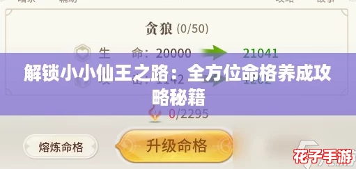 解锁小小仙王之路：全方位命格养成攻略秘籍