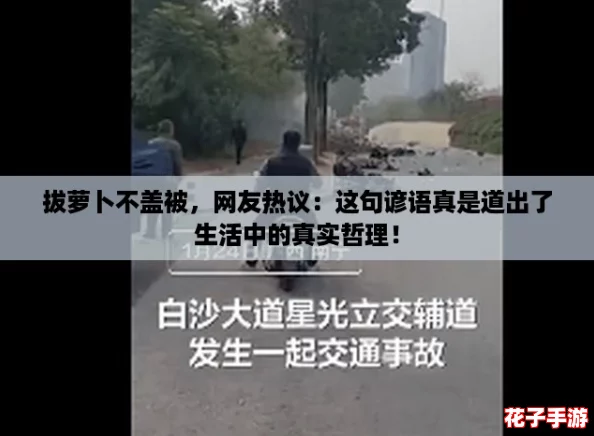 拔萝卜不盖被，网友热议：这句谚语真是道出了生活中的真实哲理！