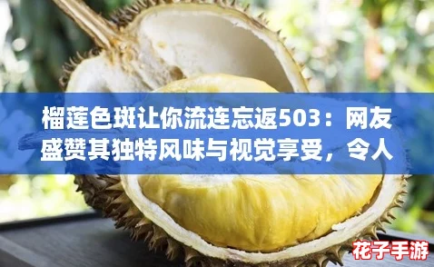 榴莲色斑让你流连忘返503：网友盛赞其独特风味与视觉享受，令人难以抗拒！