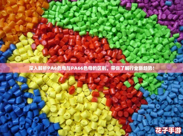 深入解析PA6色母与PA66色母的区别，带你了解行业新趋势！