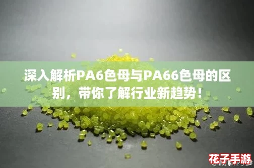 深入解析PA6色母与PA66色母的区别，带你了解行业新趋势！