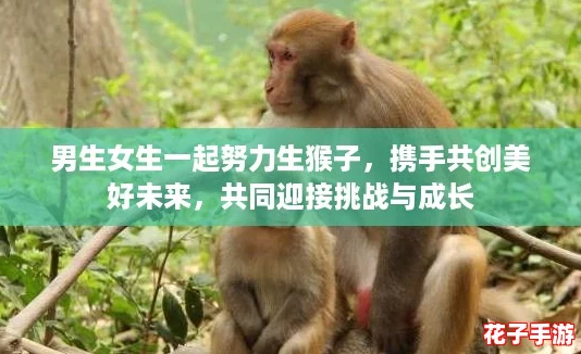 男生女生一起努力生猴子，携手共创美好未来，共同迎接挑战与成长