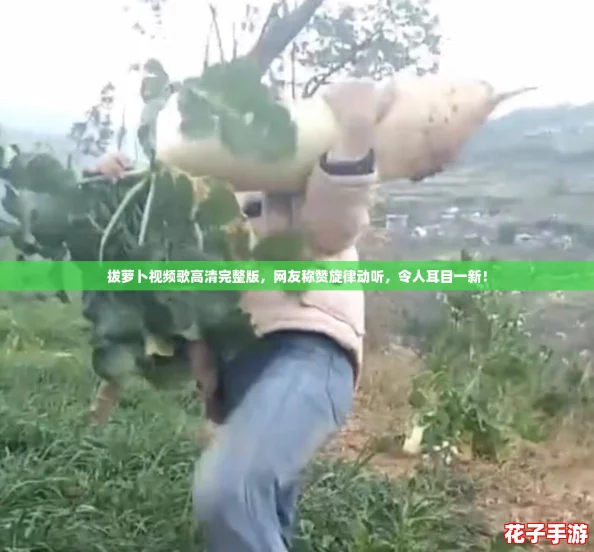 拔萝卜视频歌高清完整版，网友称赞旋律动听，令人耳目一新！