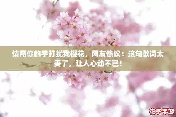 请用你的手打扰我樱花，网友热议：这句歌词太美了，让人心动不已！