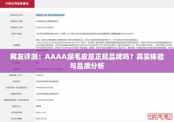 网友评测：AAAA级毛皮是正规品牌吗？真实体验与品质分析