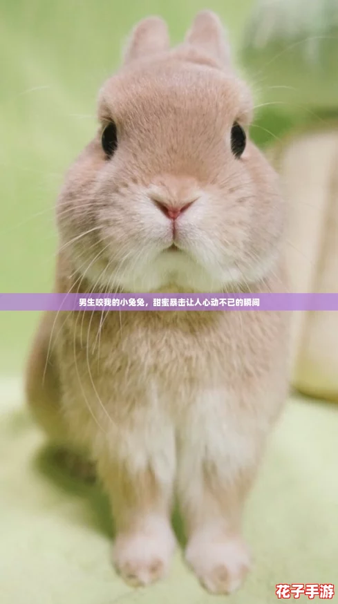 男生咬我的小兔兔，甜蜜暴击让人心动不已的瞬间