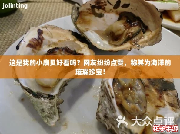这是我的小扇贝好看吗？网友纷纷点赞，称其为海洋的璀璨珍宝！