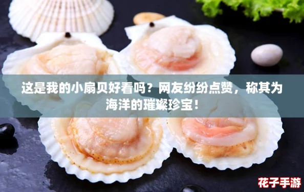 这是我的小扇贝好看吗?网友纷纷点赞,称其为海洋的璀璨珍宝! 这是我的小扇贝好看吗?网友纷纷点赞,称其为海洋的璀璨珍宝!