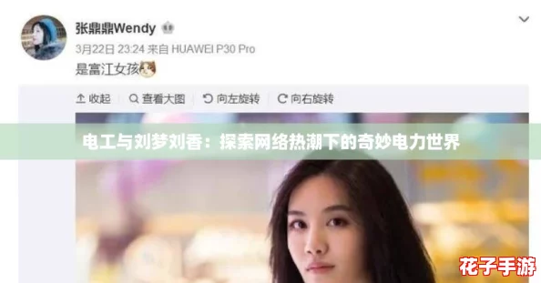 电工与刘梦刘香：探索网络热潮下的奇妙电力世界