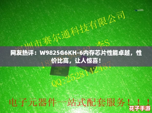 网友热评：W9825G6KH-6内存芯片性能卓越，性价比高，让人惊喜！