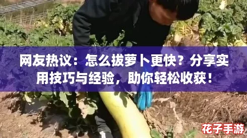 网友热议：怎么拔萝卜更快？分享实用技巧与经验，助你轻松收获！