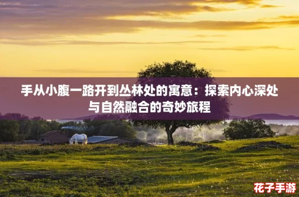 手从小腹一路开到丛林处的寓意：探索内心深处与自然融合的奇妙旅程