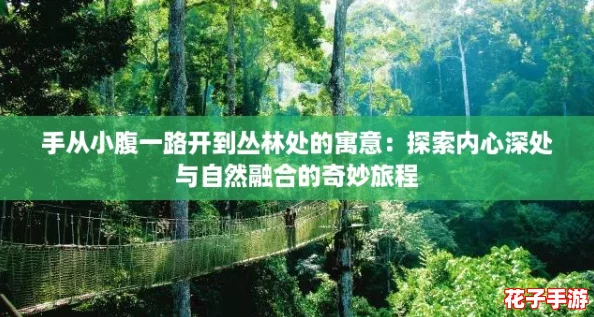 手从小腹一路开到丛林处的寓意:探索内心深处与自然融合的奇妙旅程 手从小腹一路开到丛林处的寓意:探索内心深处与自然融合的奇妙旅程