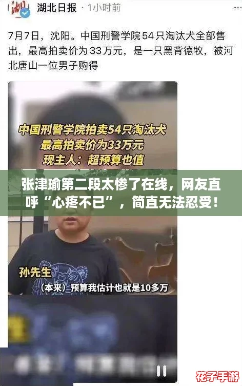 张津瑜第二段太惨了在线,网友直呼“心疼不已”,简直无法忍受! 张津瑜第二段太惨了在线,网友直呼“心疼不已”,简直无法忍受!