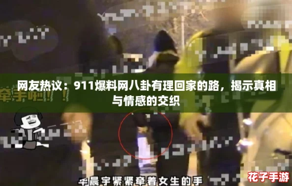 网友热议：911爆料网八卦有理回家的路，揭示真相与情感的交织