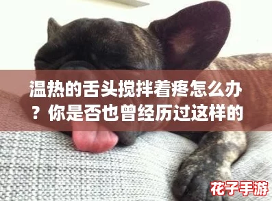 温热的舌头搅拌着疼怎么办？你是否也曾经历过这样的痛苦时刻？