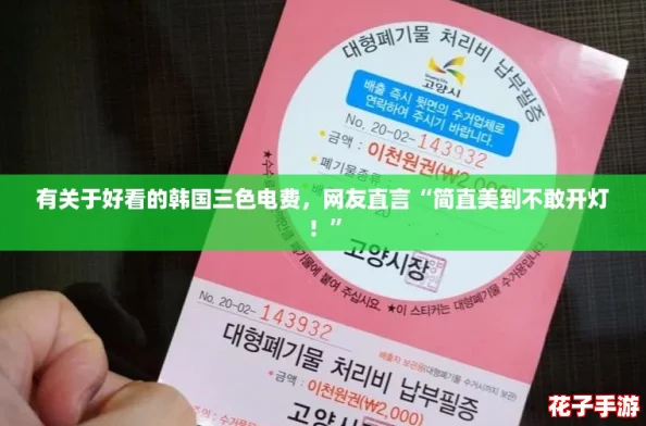 有关于好看的韩国三色电费，网友直言“简直美到不敢开灯！”