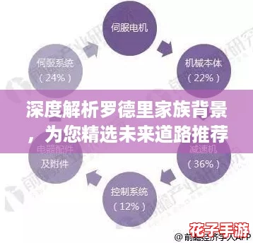 深度解析罗德里家族背景，为您精选未来道路推荐方案