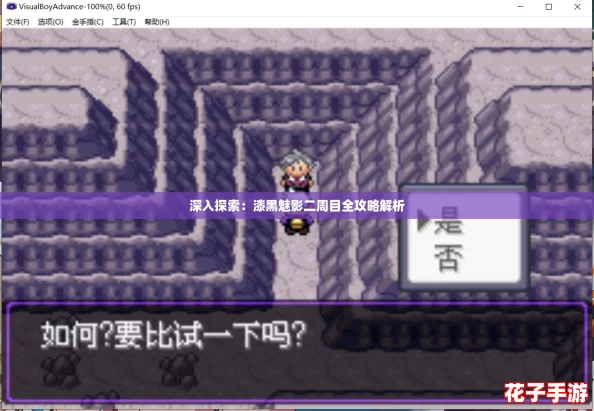深入探索：漆黑魅影二周目全攻略解析