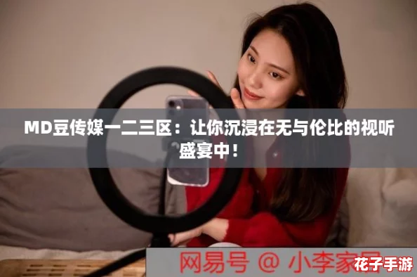 MD豆传媒一二三区：让你沉浸在无与伦比的视听盛宴中！