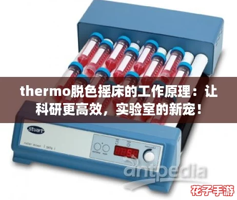 thermo脱色摇床的工作原理：让科研更高效，实验室的新宠！