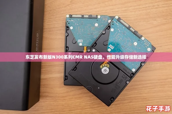 东芝发布新版N300系列CMR NAS硬盘，性能升级存储新选择