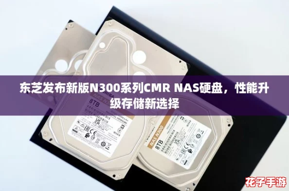 东芝发布新版N300系列CMR NAS硬盘,性能升级存储新选择 东芝发布新版N300系列CMR NAS硬盘,性能升级存储新选择