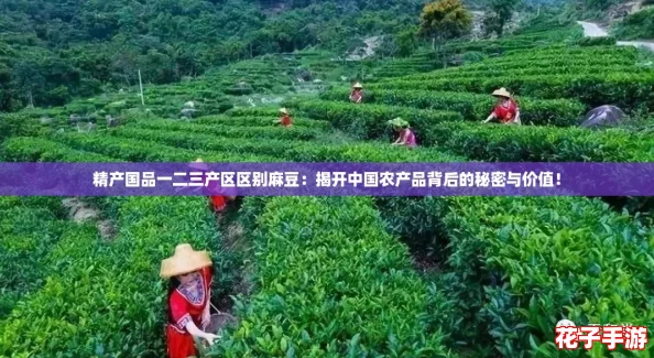 精产国品一二三产区区别麻豆:揭开中国农产品背后的秘密与价值! 精产国品一二三产区区别麻豆:揭开中国农产品背后的秘密与价值!