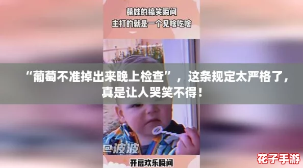 “葡萄不准掉出来晚上检查”，这条规定太严格了，真是让人哭笑不得！