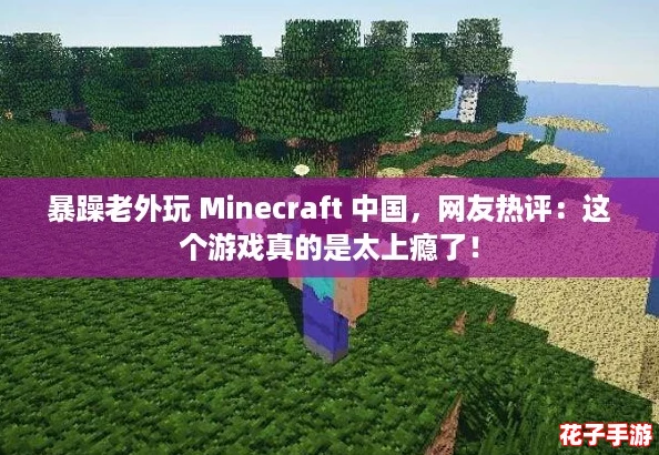 暴躁老外玩 Minecraft 中国，网友热评：这个游戏真的是太上瘾了！