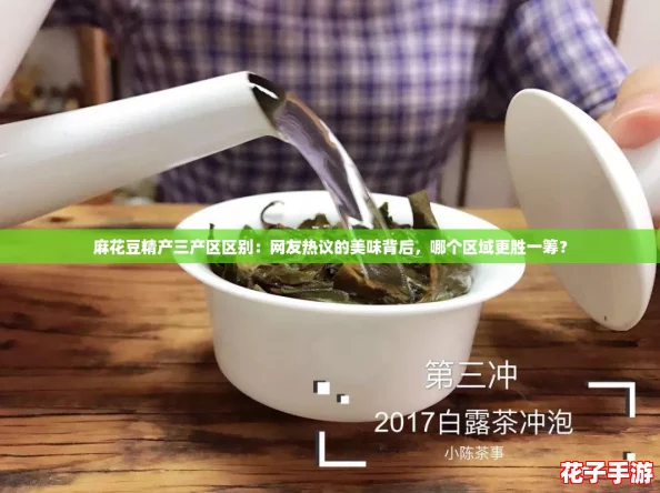 麻花豆精产三产区区别：网友热议的美味背后，哪个区域更胜一筹？