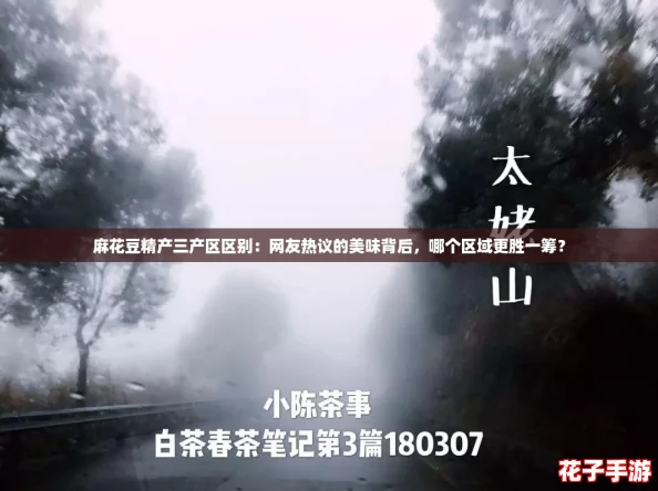 麻花豆精产三产区区别:网友热议的美味背后,哪个区域更胜一筹? 麻花豆精产三产区区别:网友热议的美味背后,哪个区域更胜一筹?