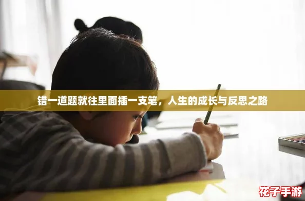 错一道题就往里面插一支笔，人生的成长与反思之路