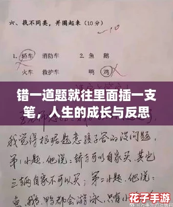 错一道题就往里面插一支笔，人生的成长与反思之路