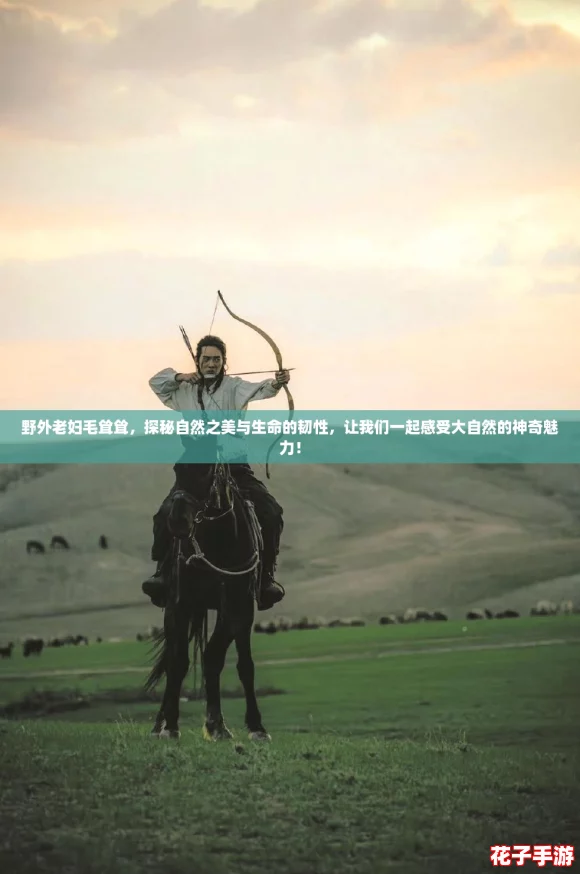 野外老妇毛耸耸，探秘自然之美与生命的韧性，让我们一起感受大自然的神奇魅力！