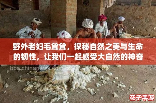 野外老妇毛耸耸，探秘自然之美与生命的韧性，让我们一起感受大自然的神奇魅力！
